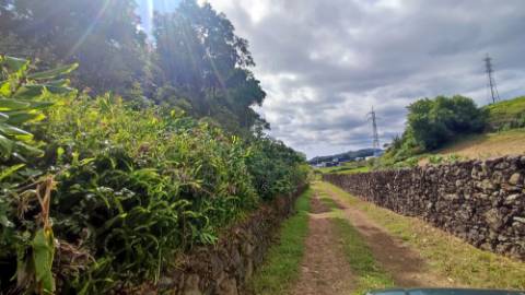 VENDA de TERRENO RÚSTICO - São Roque, Ponta Delgada, Ilha de São Miguel, Açores