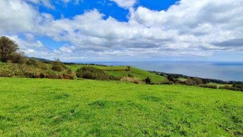 VENDA de TERRENO/PRÉDIO RÚSTICO - Freguesia de São Miguel, Vila Franca do Campo, Ilha de São Miguel, Açores