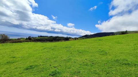 VENDA de TERRENO/PRÉDIO RÚSTICO - Freguesia de São Miguel, Vila Franca do Campo, Ilha de São Miguel, Açores