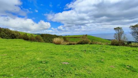 VENDA de TERRENO/PRÉDIO RÚSTICO - Freguesia de São Miguel, Vila Franca do Campo, Ilha de São Miguel, Açores