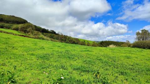 VENDA de TERRENO/PRÉDIO RÚSTICO - Freguesia de São Miguel, Vila Franca do Campo, Ilha de São Miguel, Açores