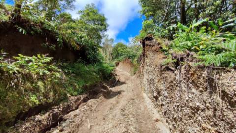 VENDA de TERRENO/PRÉDIO RÚSTICO - Freguesia de São Miguel, Vila Franca do Campo, Ilha de São Miguel, Açores