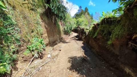 VENDA de TERRENO/PRÉDIO RÚSTICO - Freguesia de São Miguel, Vila Franca do Campo, Ilha de São Miguel, Açores