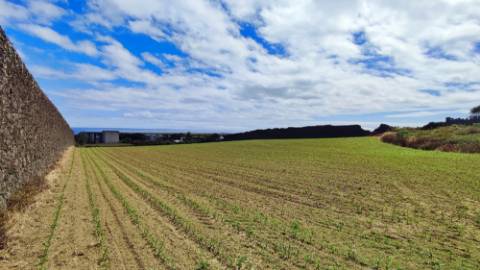VENDA de TERRENO com potencial para construção - São José, Ponta Delgada, Ilha de São Miguel, Açores