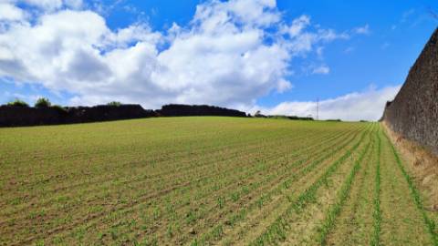 VENDA de TERRENO com potencial para construção - São José, Ponta Delgada, Ilha de São Miguel, Açores