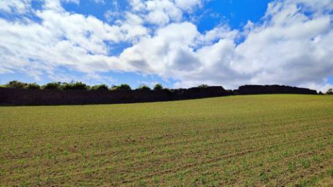 VENDA de TERRENO com potencial para construção - São José, Ponta Delgada, Ilha de São Miguel, Açores