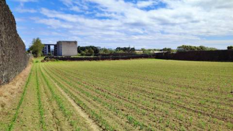 VENDA de TERRENO com potencial para construção - São José, Ponta Delgada, Ilha de São Miguel, Açores