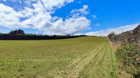 VENDA de TERRENO com potencial para construção - São José, Ponta Delgada, Ilha de São Miguel, Açores