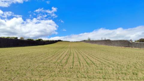 VENDA de TERRENO com potencial para construção - São José, Ponta Delgada, Ilha de São Miguel, Açores