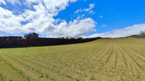 VENDA de TERRENO com potencial para construção - São José, Ponta Delgada, Ilha de São Miguel, Açores