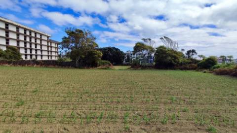 VENDA de TERRENO com potencial para construção - São José, Ponta Delgada, Ilha de São Miguel, Açores