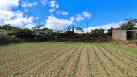 VENDA de TERRENO com potencial para construção - São José, Ponta Delgada, Ilha de São Miguel, Açores