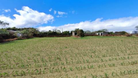 VENDA de TERRENO com potencial para construção - São José, Ponta Delgada, Ilha de São Miguel, Açores