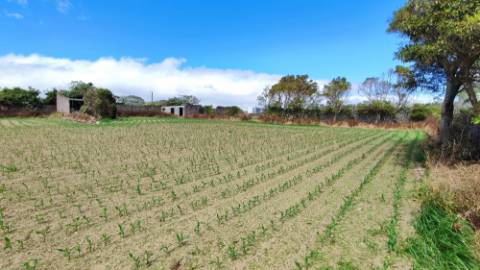 VENDA de TERRENO com potencial para construção - São José, Ponta Delgada, Ilha de São Miguel, Açores