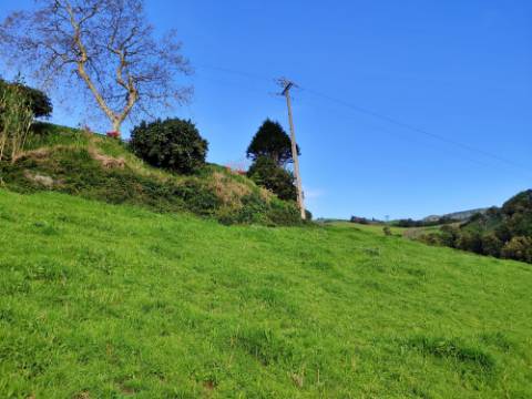 VENDA de TERRENO - Lomba do Cavaleiro, Povoação, Ilha de São Miguel, Açores