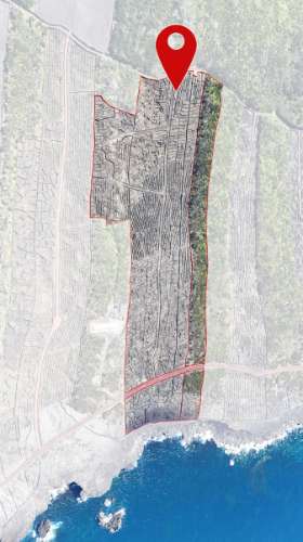 VENDA de AMPLO TERRENO com VISTA MAR e Montanha da Ilha do Pico - Candelária, Madalena, Ilha do Pico, Açores