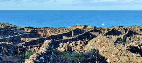 VENDA de AMPLO TERRENO com VISTA MAR e Montanha da Ilha do Pico - Candelária, Madalena, Ilha do Pico, Açores