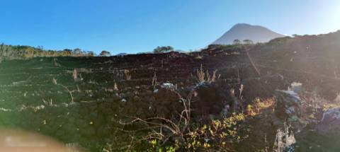 VENDA de AMPLO TERRENO com VISTA MAR e Montanha da Ilha do Pico - Candelária, Madalena, Ilha do Pico, Açores