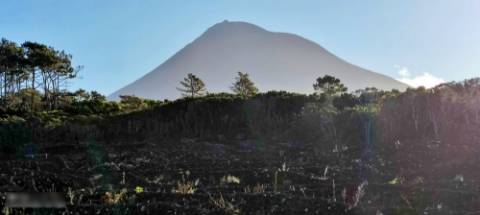 VENDA de AMPLO TERRENO com VISTA MAR e Montanha da Ilha do Pico - Candelária, Madalena, Ilha do Pico, Açores