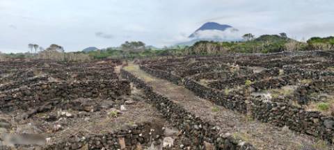 VENDA de AMPLO TERRENO com VISTA MAR e Montanha da Ilha do Pico - Candelária, Madalena, Ilha do Pico, Açores