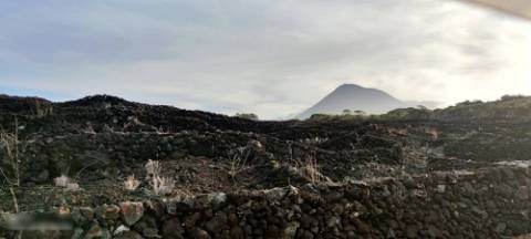VENDA de AMPLO TERRENO com VISTA MAR e Montanha da Ilha do Pico - Candelária, Madalena, Ilha do Pico, Açores