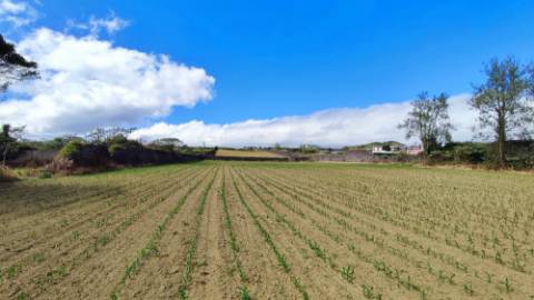 VENDA de TERRENO com potencial para Construção - São José, Ponta Delgada, Ilha de São Miguel, Açores