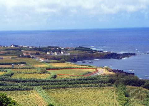 VENDA de AMPLO TERRENO à Beira Mar, nos Mosteiros, Ponta Delgada, com excelente vista panorâmica sobre o mar e serra
