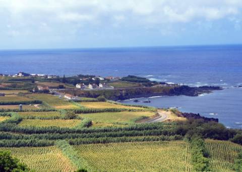 VENDA de AMPLO TERRENO à Beira Mar, nos Mosteiros, Ponta Delgada, com excelente vista panorâmica sobre o mar e serra