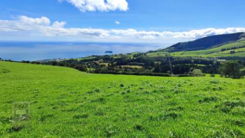 VENDA de TERRENO/PRÉDIO RÚSTICO - Freguesia de São Miguel, Vila Franca do Campo, Ilha de São Miguel, Açores