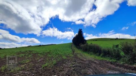 VENDA de TERRENO/PRÉDIO RÚSTICO - Freguesia de São Miguel, Vila Franca do Campo, Ilha de São Miguel, Açores