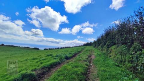 VENDA de TERRENO/PRÉDIO RÚSTICO - Freguesia de São Miguel, Vila Franca do Campo, Ilha de São Miguel, Açores