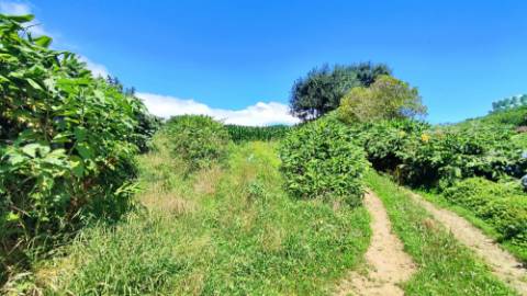 VENDA de AMPLO TERRENO - Santa Cruz, Lagoa (Açores), Ilha de São Miguel, Açores, Portugal