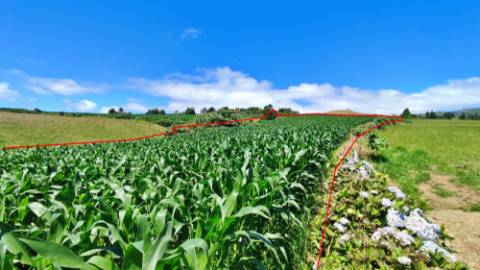 VENDA de AMPLO TERRENO - Santa Cruz, Lagoa (Açores), Ilha de São Miguel, Açores, Portugal