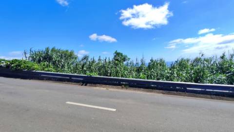 VENDA de AMPLO TERRENO - Santa Cruz, Lagoa (Açores), Ilha de São Miguel, Açores, Portugal