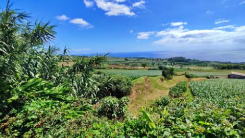 VENDA de AMPLO TERRENO - Santa Cruz, Lagoa (Açores), Ilha de São Miguel, Açores, Portugal