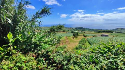 VENDA de AMPLO TERRENO - Santa Cruz, Lagoa (Açores), Ilha de São Miguel, Açores, Portugal