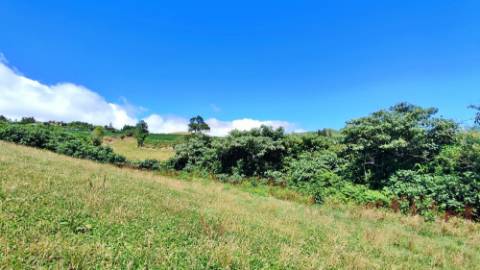 VENDA de AMPLO TERRENO - Santa Cruz, Lagoa (Açores), Ilha de São Miguel, Açores, Portugal