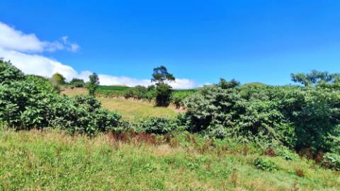 VENDA de AMPLO TERRENO - Santa Cruz, Lagoa (Açores), Ilha de São Miguel, Açores, Portugal