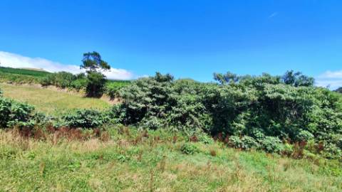 VENDA de AMPLO TERRENO - Santa Cruz, Lagoa (Açores), Ilha de São Miguel, Açores, Portugal