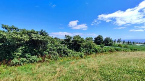 VENDA de AMPLO TERRENO - Santa Cruz, Lagoa (Açores), Ilha de São Miguel, Açores, Portugal