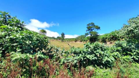 VENDA de AMPLO TERRENO - Santa Cruz, Lagoa (Açores), Ilha de São Miguel, Açores, Portugal