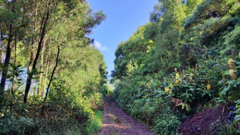 Amplo TERRENO em zona Industrial com potencial construtivo - Pico da Pedra, Ribeira Grande, Ilha de São Miguel, Açores