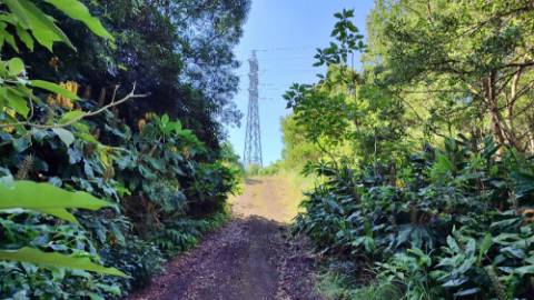 Amplo TERRENO em zona Industrial com potencial construtivo - Pico da Pedra, Ribeira Grande, Ilha de São Miguel, Açores