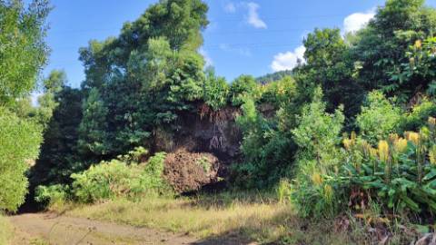 Amplo TERRENO em zona Industrial com potencial construtivo - Pico da Pedra, Ribeira Grande, Ilha de São Miguel, Açores