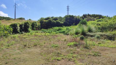 Amplo TERRENO em zona Industrial com potencial construtivo - Pico da Pedra, Ribeira Grande, Ilha de São Miguel, Açores