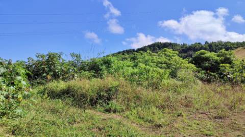 Amplo TERRENO em zona Industrial com potencial construtivo - Pico da Pedra, Ribeira Grande, Ilha de São Miguel, Açores