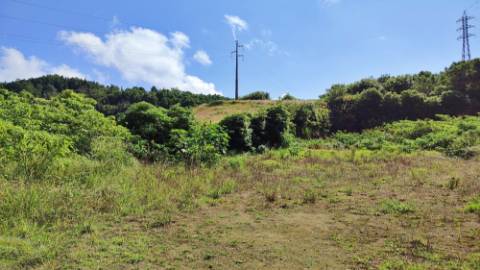 Amplo TERRENO em zona Industrial com potencial construtivo - Pico da Pedra, Ribeira Grande, Ilha de São Miguel, Açores