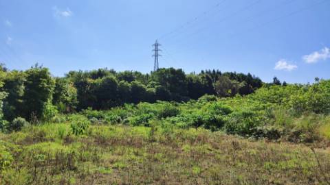 Amplo TERRENO em zona Industrial com potencial construtivo - Pico da Pedra, Ribeira Grande, Ilha de São Miguel, Açores
