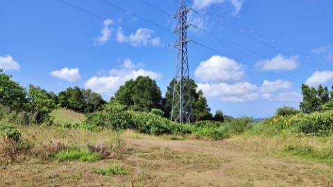 Amplo TERRENO em zona Industrial com potencial construtivo - Pico da Pedra, Ribeira Grande, Ilha de São Miguel, Açores