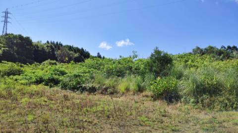 Amplo TERRENO em zona Industrial com potencial construtivo - Pico da Pedra, Ribeira Grande, Ilha de São Miguel, Açores